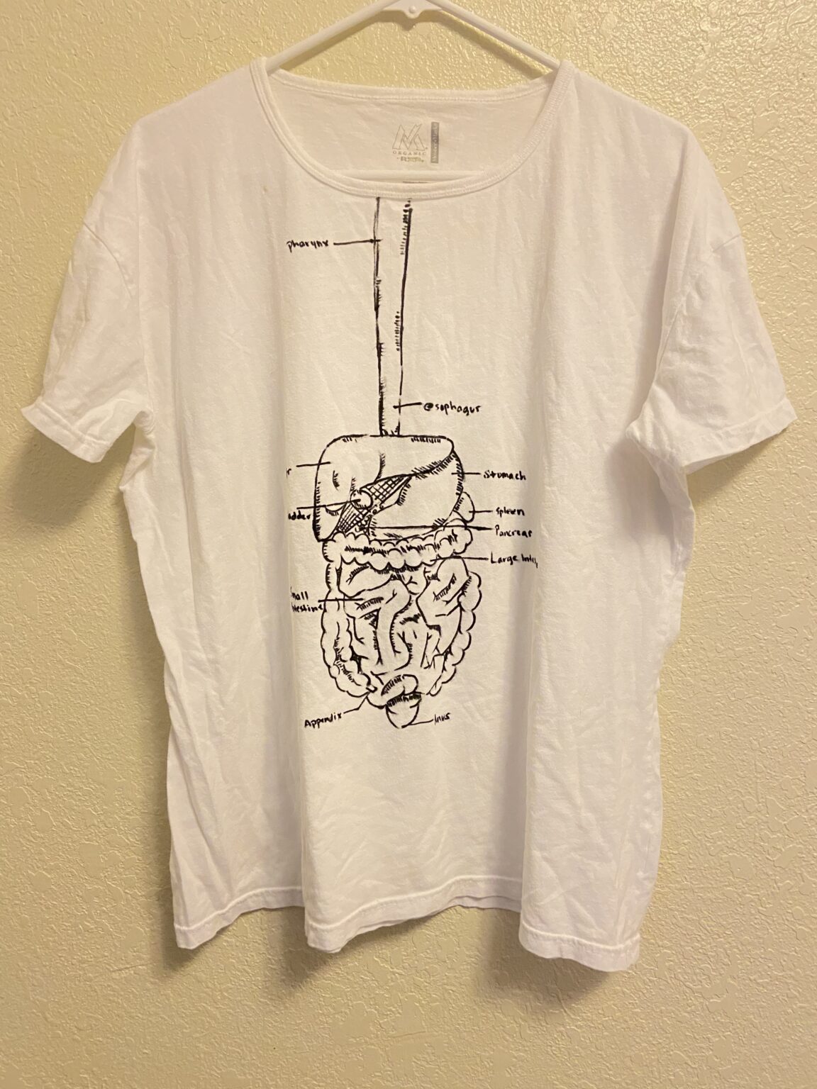 digestive system on t shirt