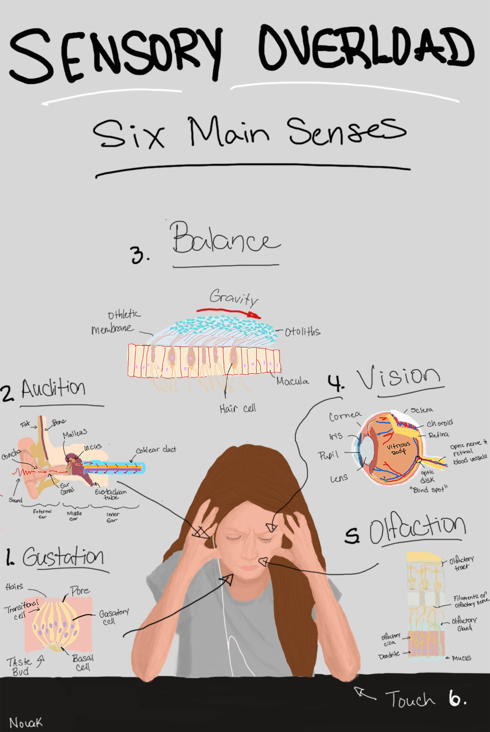 Different Types Of Sensory Overload