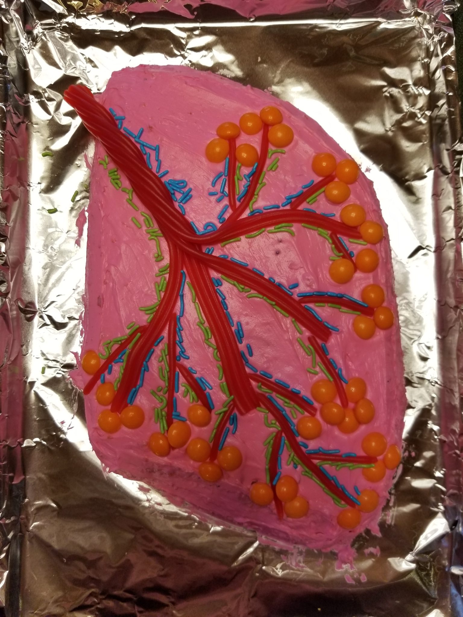 the-exchange-of-oxygen-and-carbon-dioxide-in-the-lungs-with-cake