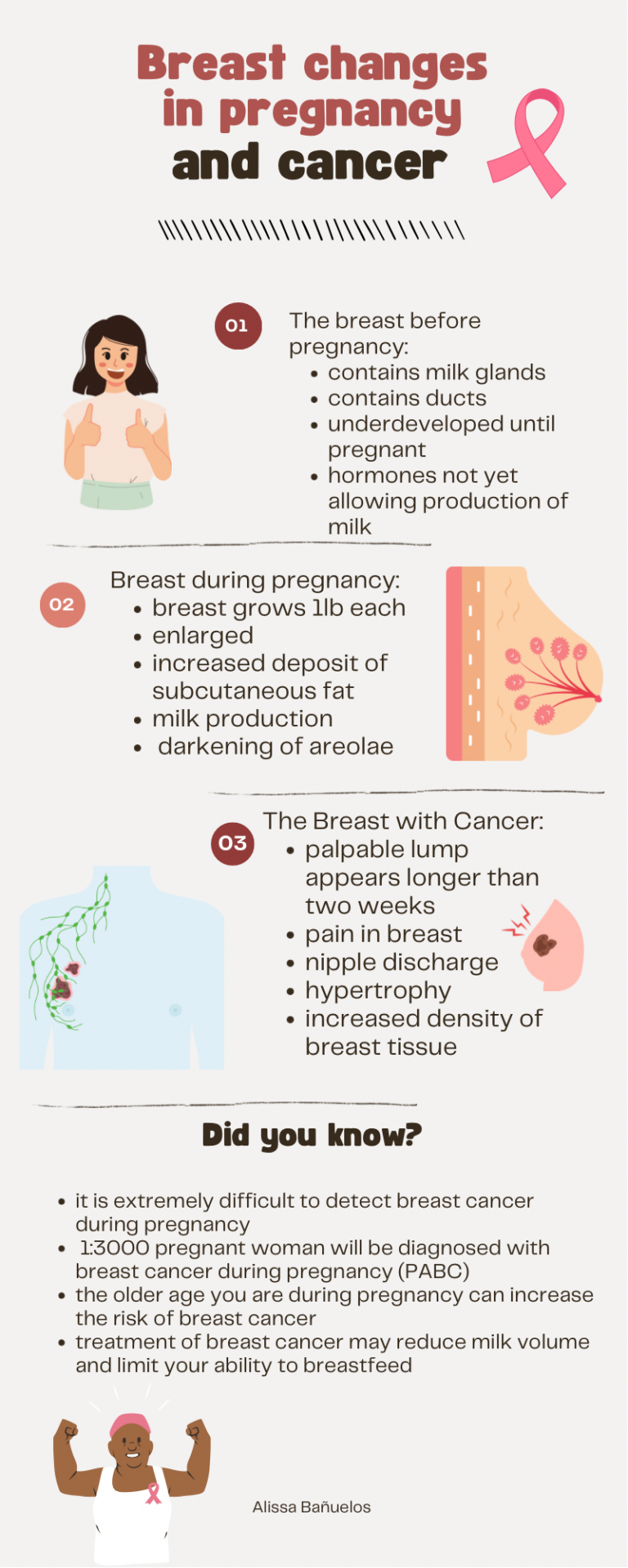 Breast Cancer During Pregnancy – Human STEAM