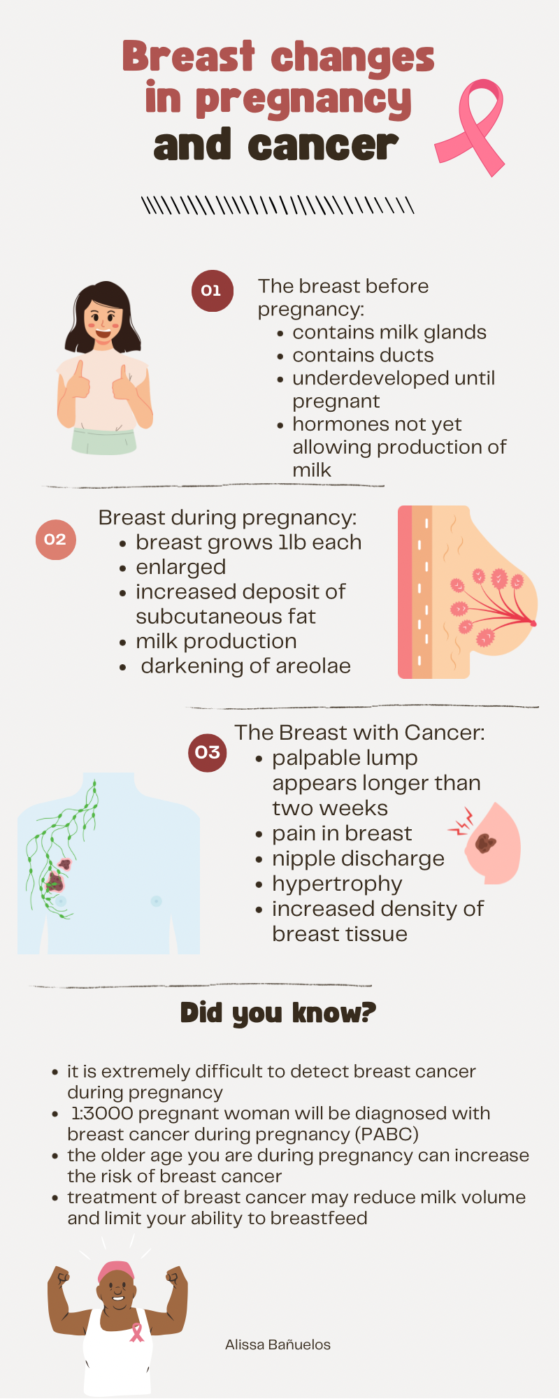 Breast Cancer During Pregnancy – Human Steam