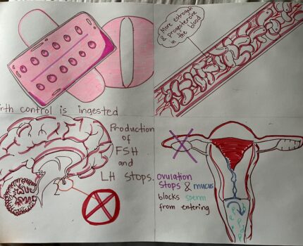 Should oral contraceptives be sold over the counter?