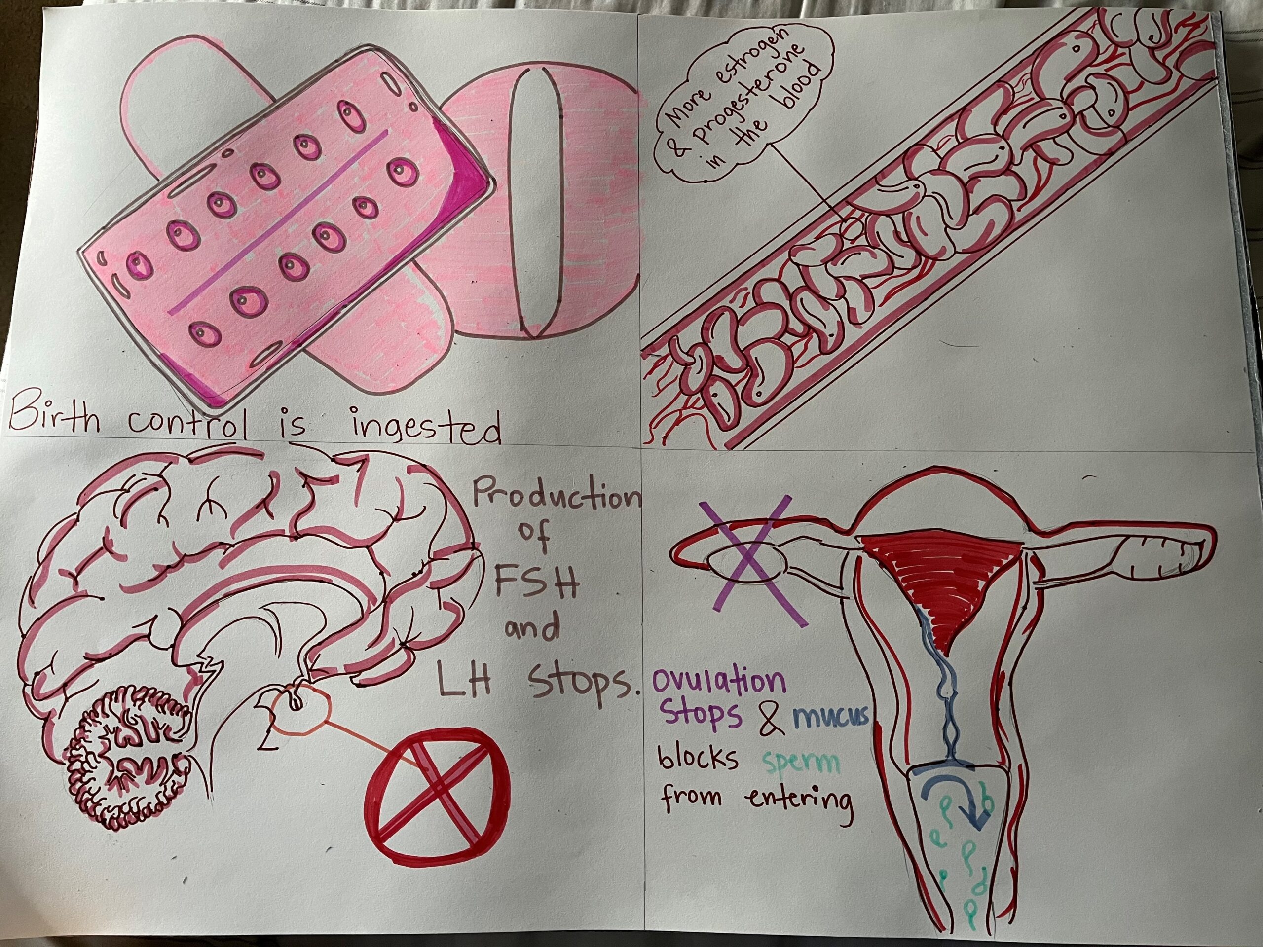 Should oral contraceptives be sold over the counter?