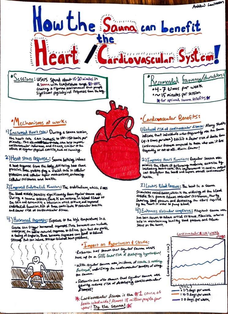 Andrew Lawrason
Bio112
Human Anatomy and Physiology
Don Larson
Steam Project Essay:

How Does the Sauna Help the Heart/Cardiovascular System?

 	Sauna bathing has been increasingly recognized for its potential health benefits, especially regarding cardiovascular health. I am a frequent user of the sauna, as it provides lots of relaxation and helps me with soreness after a workout, but I have heard so much on how it is good for your health, particularly in the heart/cardiovascular system, and I wanted to research it myself for this project. I read through two different studies, both providing insight on how the sauna can be beneficial to the health of the heart and cardiovascular system.
Regular sauna sessions have been found to promote reduced risk of sudden cardiac death, coronary heart disease, and overall cardiovascular mortality, all of which contribute to an average of 17.9 million deaths across the world every year. That is more than any other cause of death globally. The reduction in risk of cardiovascular mortality that regular visits to the sauna promotes is primarily attributed to significant improvements in cardiovascular function induced by the physiological effects of heat exposure during sauna sessions.
One of the main benefits of bathing in the sauna is the induced hyperthermic condition, which leads to an increased heart rate. This is similar to the effects of moderate exercise, it’s in a way like going for a run, but while you are sitting down in the sauna. This helps improve cardiac output and over time may contribute to better cardiovascular health. Also, the heat stress from sauna use causes vasodilation, or the widening of blood vessels. This reduces vascular resistance and lowers blood pressure, easing the workload on the heart.
Another outcome that results from regular sauna use is increased blood flow to the skin and extremities, a reduction in arterial stiffness, and improved endothelial function. Endothelial function is essential for vascular health, and its improvement is directly linked to a decreased risk of cardiovascular diseases. These changes are not only beneficial for the heart but also contribute to lowering blood pressure, which is a major factor in cardiovascular risk.
For those with heart conditions, sauna bathing enhances left ventricular function and improves the arterial compliance of the aorta, offering potential therapeutic benefits for many heart conditions. One cool thing that the papers I researched stated was that even individuals with heart failure and hypertension can safely use the sauna, provided they use it under appropriate guidance and consideration of their health status.
A study focusing on the relationship between sauna habits and cardiovascular disease mortality found that individuals who engaged in sauna sessions four to seven times per week had a significantly lower risk of fatal cardiovascular events when compared to those who sauna once a week, indicating that along with sauna use in general, the more a person uses the sauna the lower their risk of cardiovascular disease is, along with greater benefits for the health of the heart and cardiovascular system. 
The many mechanisms through sauna use that contribute to these health benefits include improvement of endothelial function, reduction in arterial stiffness, modulation of the autonomic nervous system, and a decrease in blood pressure. These mechanisms all contribute to improved cardiovascular function and reduced risk of fatal events. Incorporating sauna bathing habits into traditional cardiovascular risk assessments could also enhance the prediction of CVD mortality, as it has been shown to have a significant impact on cardiovascular health.
To summarize, use of the sauna not only provides a relaxing experience, but also contributes to substantial health benefits, especially for the heart and vascular system. The physiological adaptations initiated by regular sauna use: increased heart rate, improved vascular function, and lowered blood pressure, all play a role in maintaining and enhancing cardiovascular and heart health.

References

Laukkanen, T., Kunutsor, S. K., Khan, H., Willeit, P., Zaccardi, F., & Laukkanen, J. A. (2018). Sauna bathing is associated with reduced cardiovascular mortality and improves risk prediction in men and women: A prospective cohort study. BMC Medicine, 16(1), 219. https://doi.org/10.1186/s12916-018-1198-0


Laukkanen, J. A., & Kunutsor, S. K. (2024). The multifaceted benefits of passive heat therapies for extending the healthspan: A comprehensive review with a focus on Finnish sauna. Temperature (Austin), 11(1), 27-51. https://doi.org/10.1080/23328940.2023.2300623


World Health Organization. (n.d.). Cardiovascular diseases. https://www.who.int/health-topics/cardiovascular-diseases#tab=tab_1
