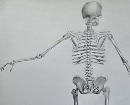 Not Just a Normal Skeleton- An Osteoporosis and Osteoarthritis Study